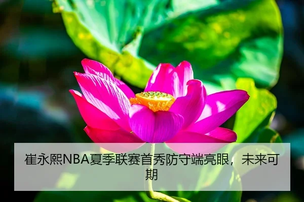 崔永熙NBA夏季联赛首秀防守端亮眼，未来可期