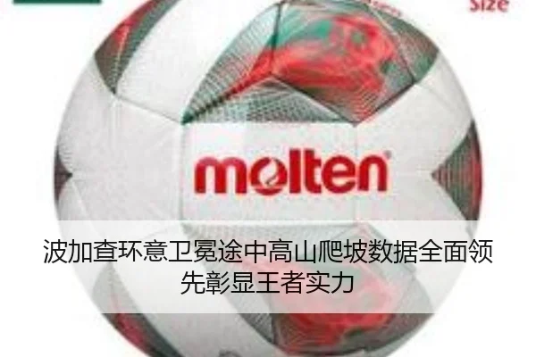 波加查环意卫冕途中高山爬坡数据全面领先彰显王者实力